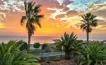 Tropical sunset content-aware scaled to 1:1 Instagram square